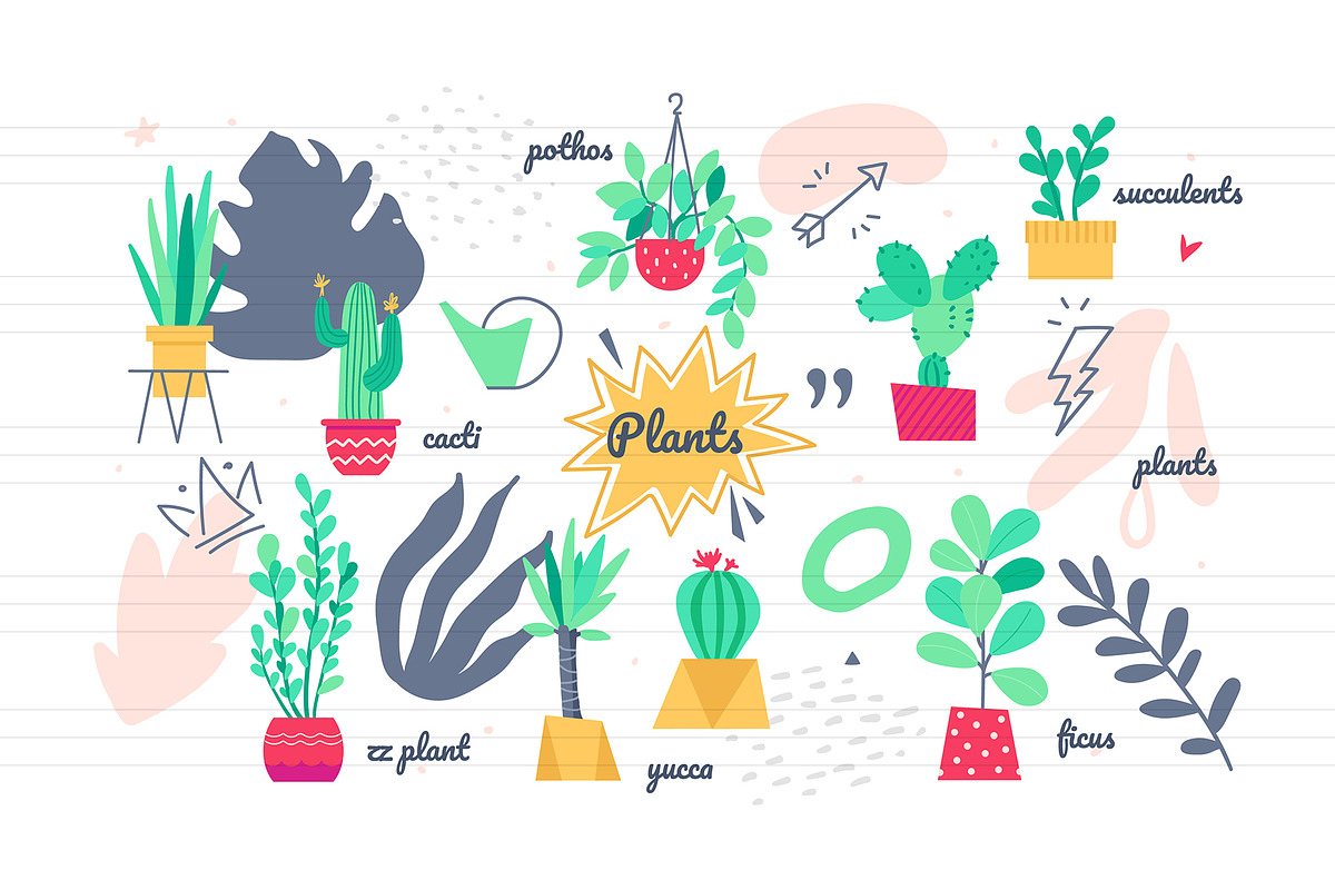 Potted Plants Bundle, a Templates & Theme by Boyko Pictures (Photo 12 of 12)
