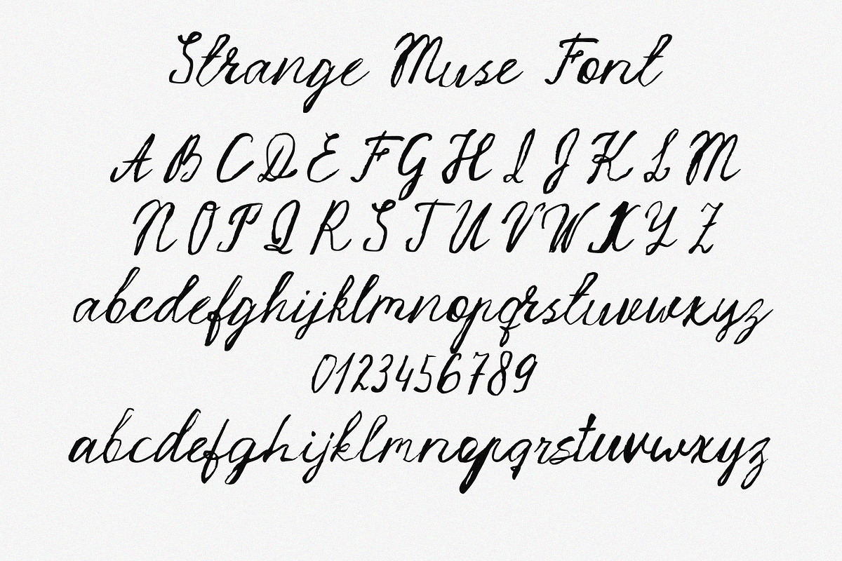 Strange Muse Messy Script Font, a Script Font by AnMark (Photo 9 of 13)