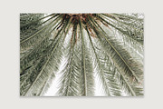 Lifestyle Bundles Collection 4, a Beauty & Fashion Photo by Floral Deco (Thumbnail 5 of 66)