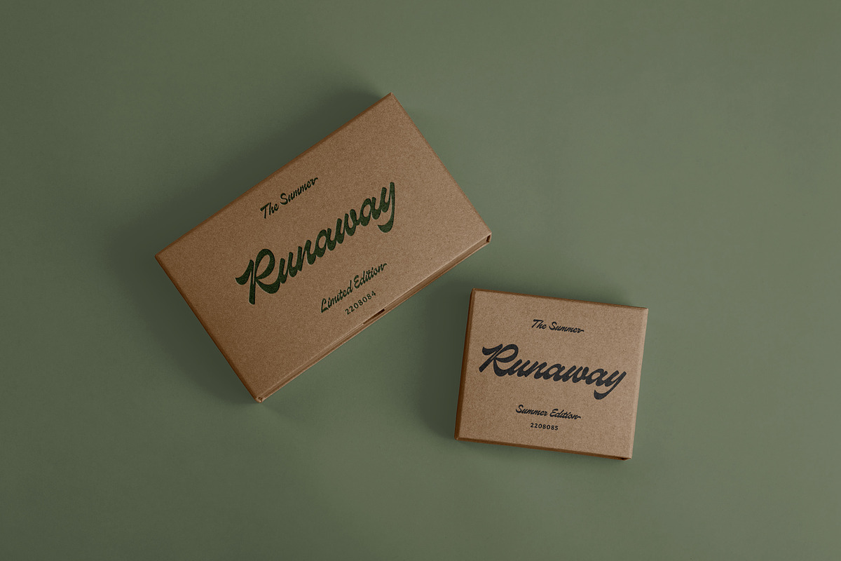 ED Medimont - Brush Script font, a Script Font by Emyself Design (Photo 8 of 12)