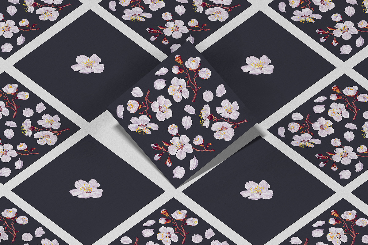 Apricot Branches Big Floral Set, an Illustration by MarynaPetrovska (Photo 19 of 23)