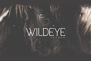 Collazio Serif Font, a Slab Serif Font by Vacatype Co. (Thumbnail 5 of 5)