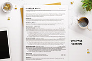 ATS Friendly Resume Template, a Resume Template by BestResumes.Co (Thumbnail 2 of 9)