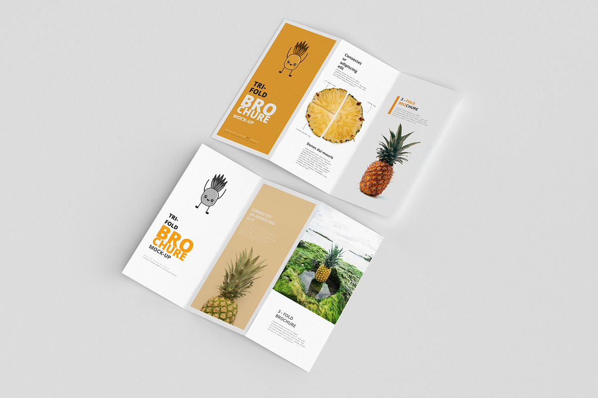 165 Brochure Mock-ups Big Bundle, a Print Template by pmvch (Photo 20 of 170)