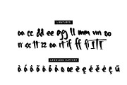 Timberwolf - Expressive Handwritten, a Handwritten Font by Cititype (Thumbnail 13 of 14)
