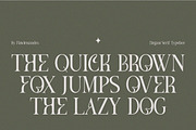 Meghan, a Serif Font by Flawless And Co (Thumbnail 6 of 9)