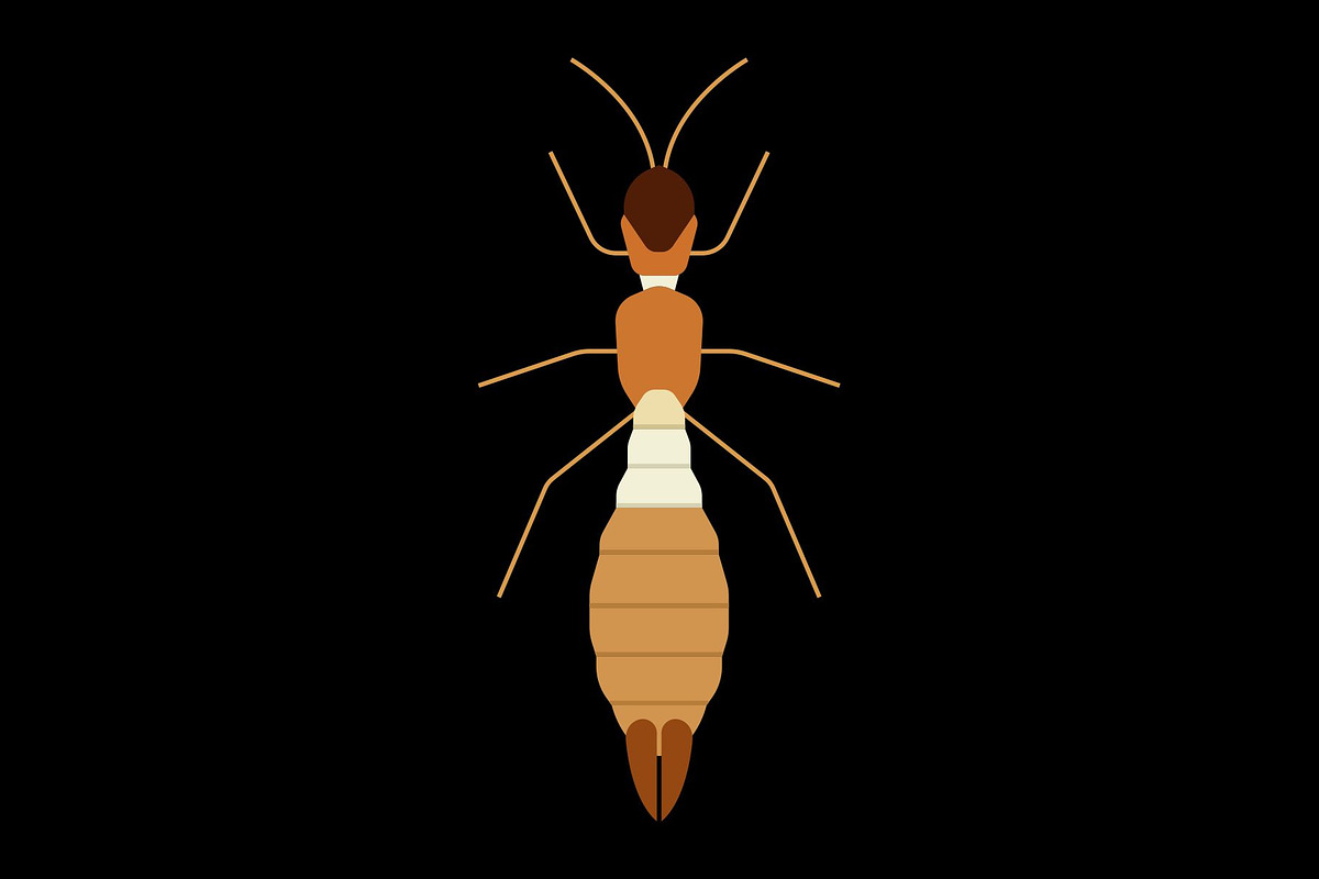 Worker Termite Insect, a Solid Icon by Buqancreative (Photo 2 of 2)