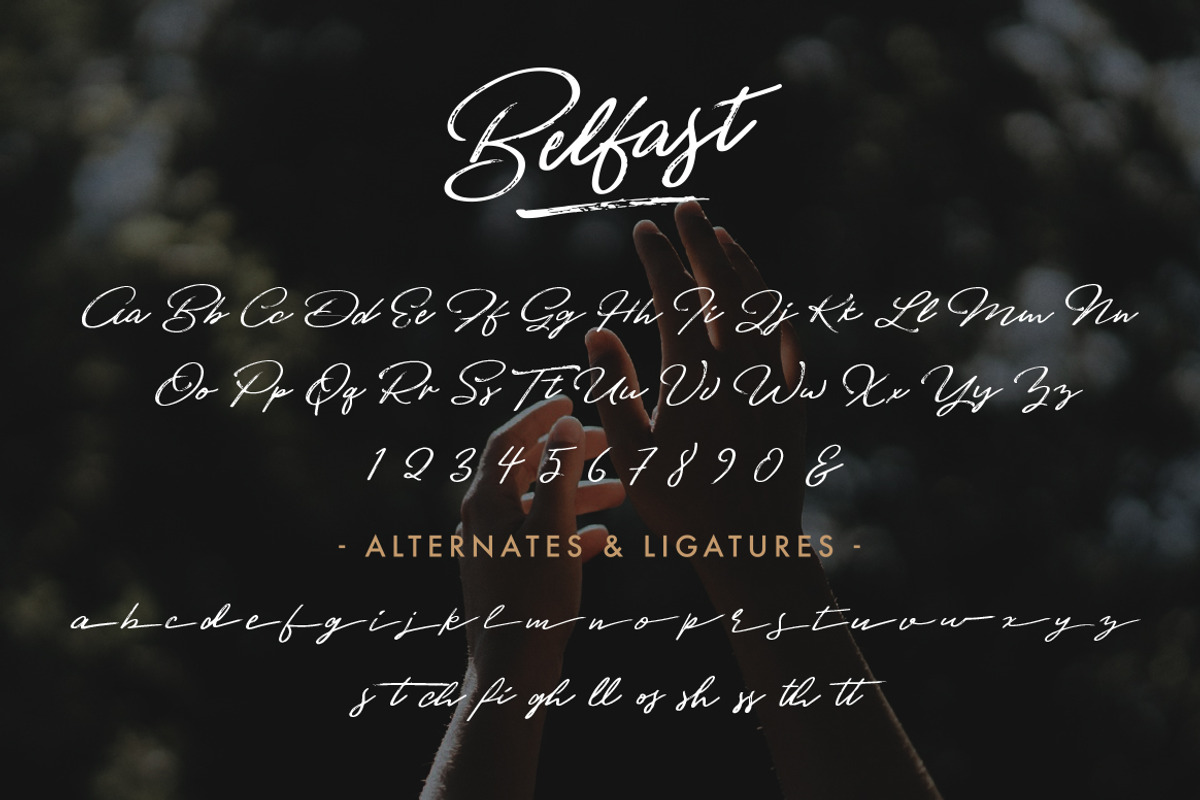 Belfast - A Dry Brush Script preview 2