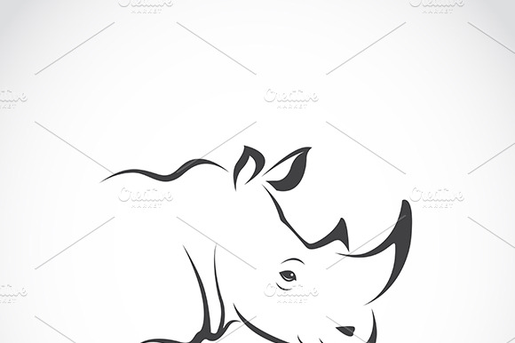 Vector Of Rhino Head. Wild Animals.