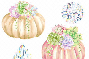 Pumpkins And Succulents Cliparts