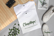 Leonttina, a Script Font by Integritype Studio (Thumbnail 4 of 15)