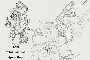 100illustrations Snakes with flowers
