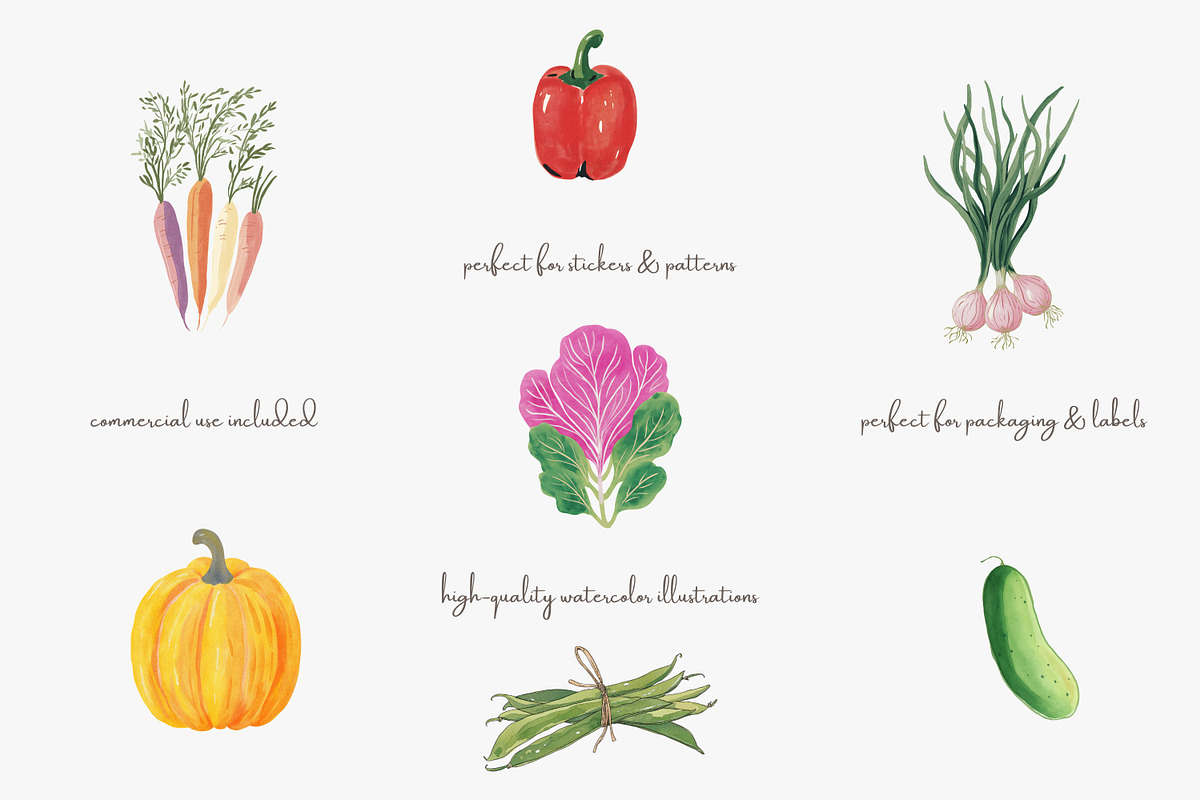 Watercolor vegetable clipart set, a Decorative Illustration by Patishop Art (Photo 3 of 8)
