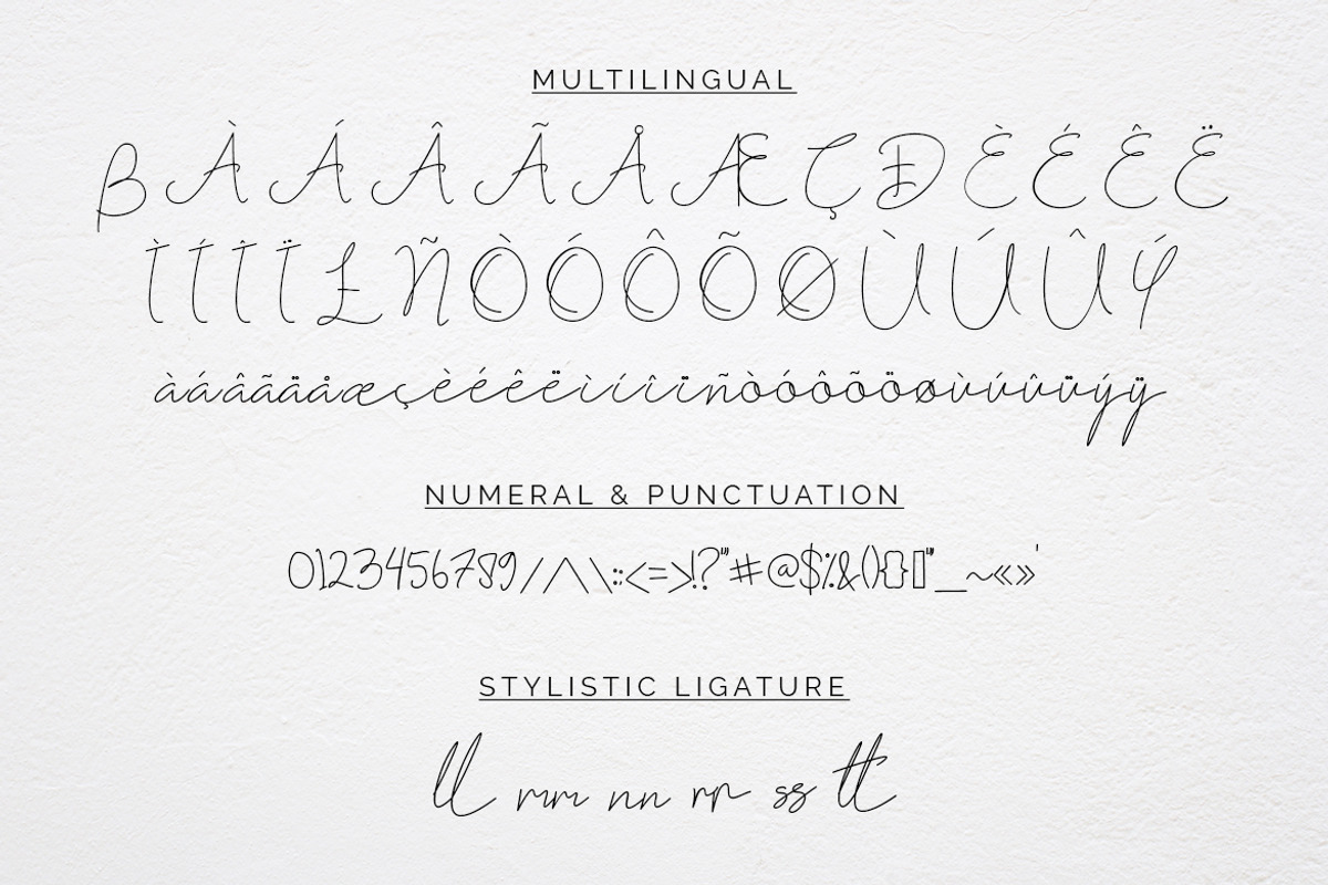 Fribourg Modern Handwritten Font, a Script Font by Helotype (Photo 8 of 8)