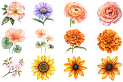 Wildflower Watercolor Flower Clipart, an Illustration by DreamCafeArt (Thumbnail 5 of 8)