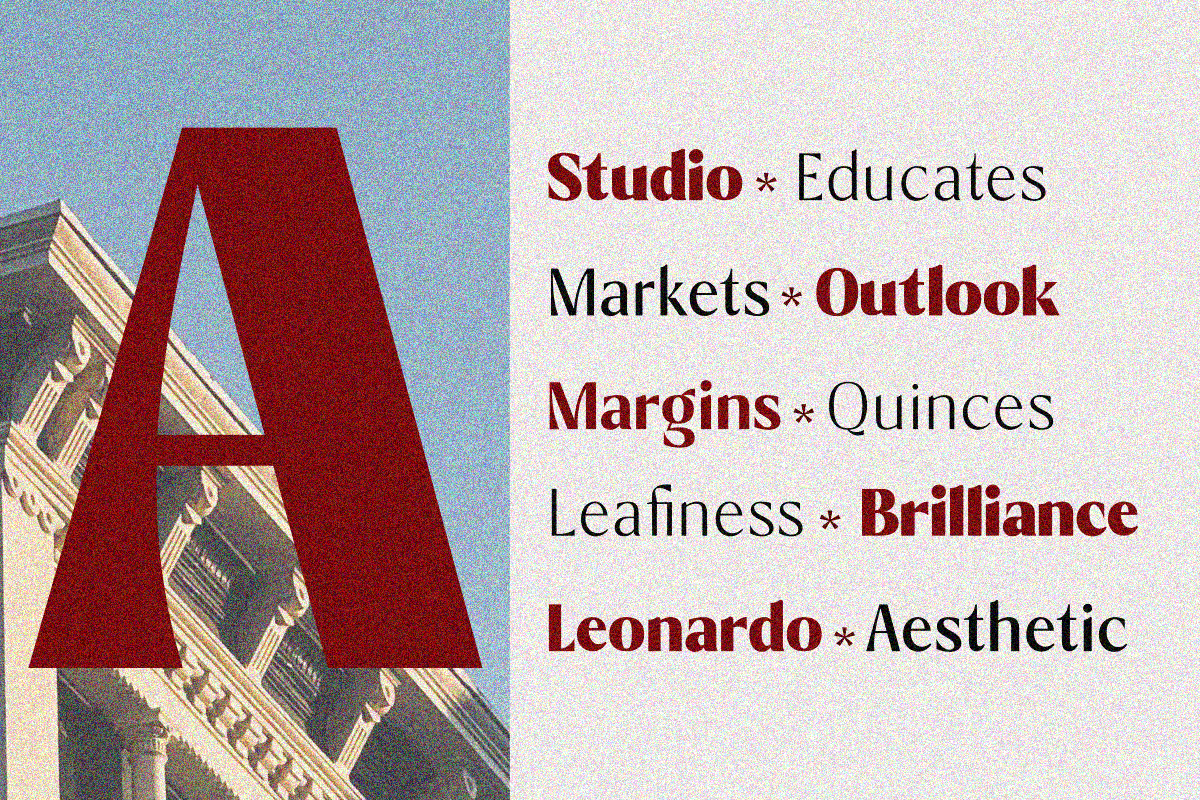 Aveline Chapter, a Sans Serif Font by Zafiratype (Photo 4 of 15)