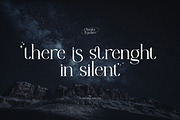 Chanley - Modern Font Serif, a Serif Font by Flawless And Co (Thumbnail 5 of 10)
