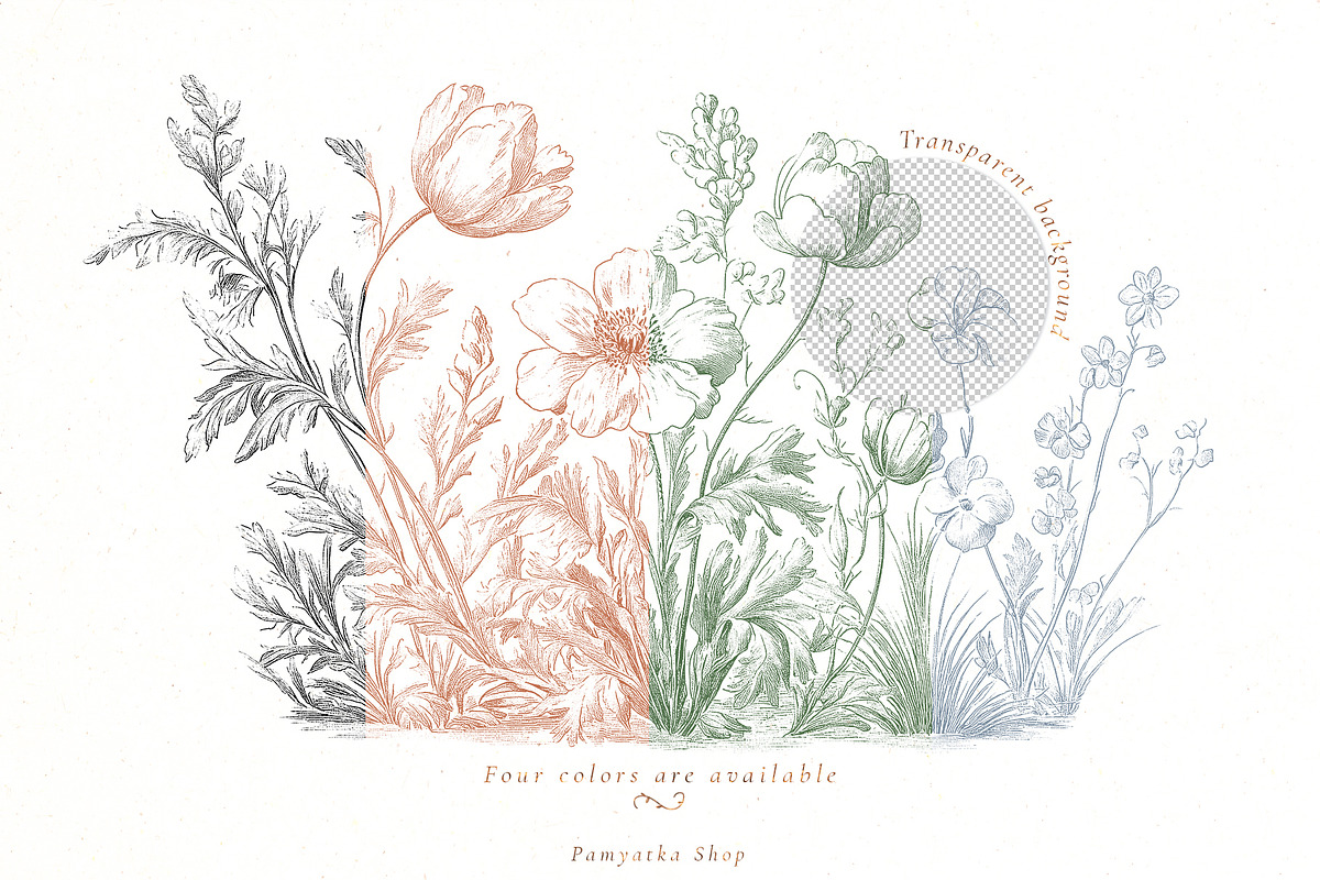 Baroque collection-Toile De Jouy, a Decorative Illustration by Pamyatka Shop (Photo 8 of 14)