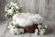 Newborn Basket Digital Backdrop, a Layer Style Add-On by Wild Honey Design Co. (Thumbnail 2 of 2)