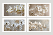 Hihe Co. White Floral Art, a Texture Illustration by milatovar (Thumbnail 4 of 20)