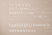 Opera Signature | Font Duo, a Serif Font by Larin Type Co. (Thumbnail 13 of 15)