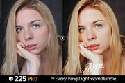 225 Lightroom Presets Bundle, an Action Add-On by Presetrain Co. (Thumbnail 9 of 13)