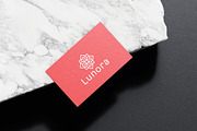 Elegant Geometric Floral Logo Design, a Branding & Logo Template by arhabib (Thumbnail 3 of 10)