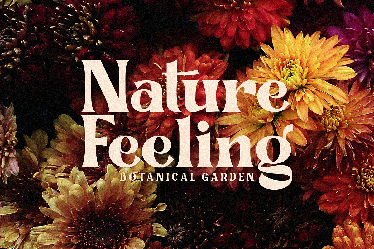 Signesha Elegant Typeface, a Sans Serif Font by 24Design Studios (Photo 3 of 10)