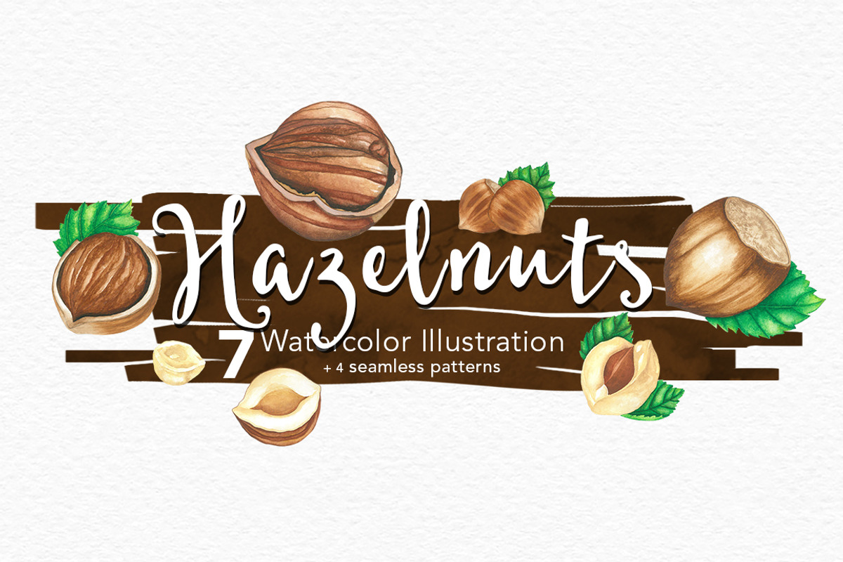 Hazelnuts Watercolors Illustration, an Illustration by andypray (Photo 1 of 5)