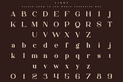 Bungalow Typeface - 9 fonts, a Serif Font by VP Fonts (Thumbnail 9 of 19)