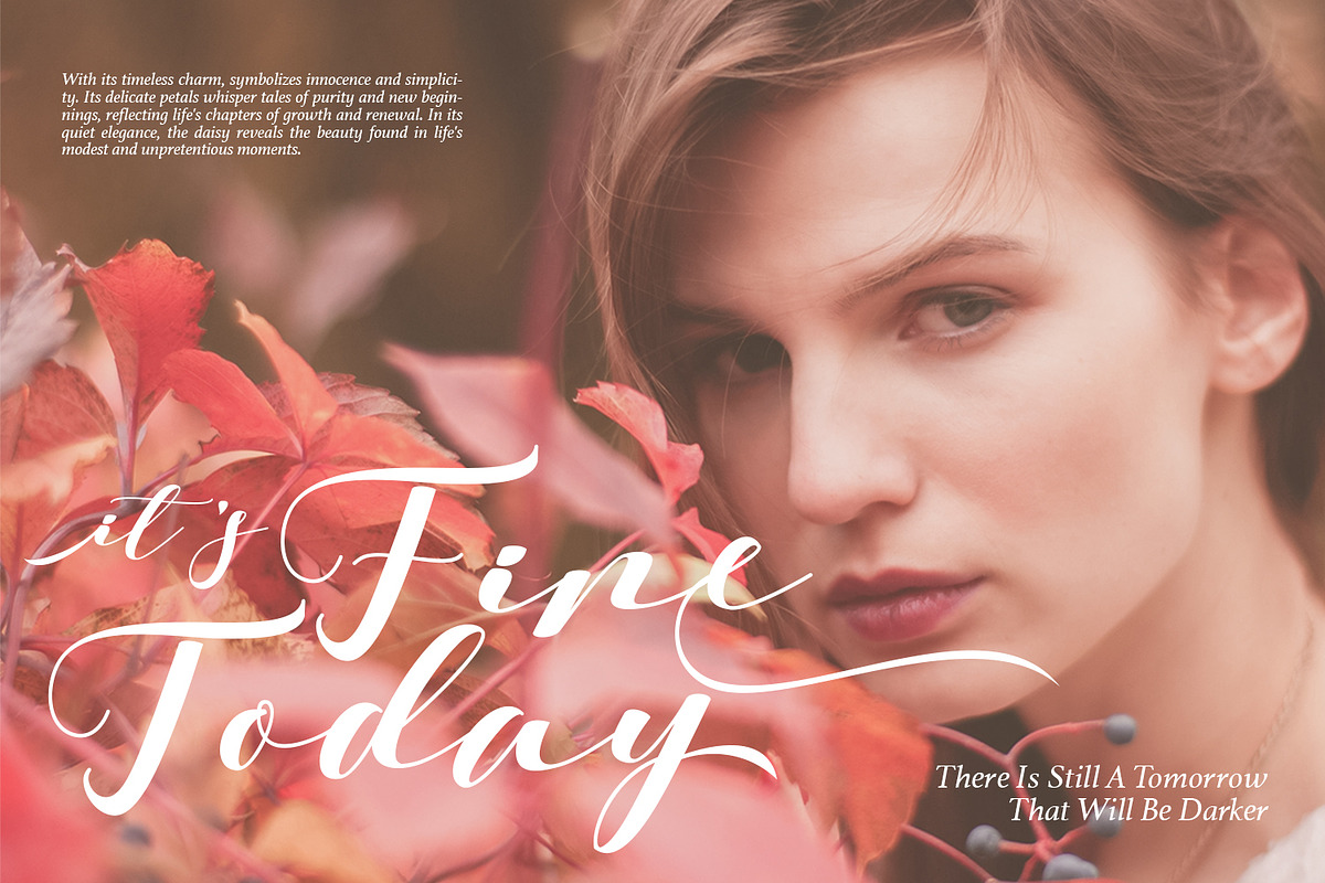 Barbara - A Classy Script Font, a Script Font by Aksapix Studio (Photo 5 of 11)