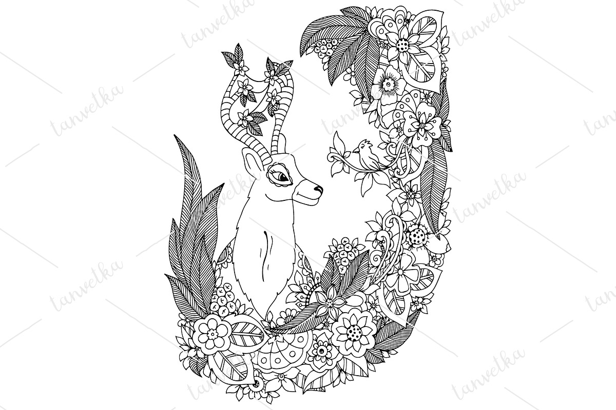 Doodle deer in floral frame, an Animal Illustration by taniavetka