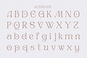 Honey Cloudlight - Modern Elegant, a Serif Font by Qweera Studio (Thumbnail 11 of 12)