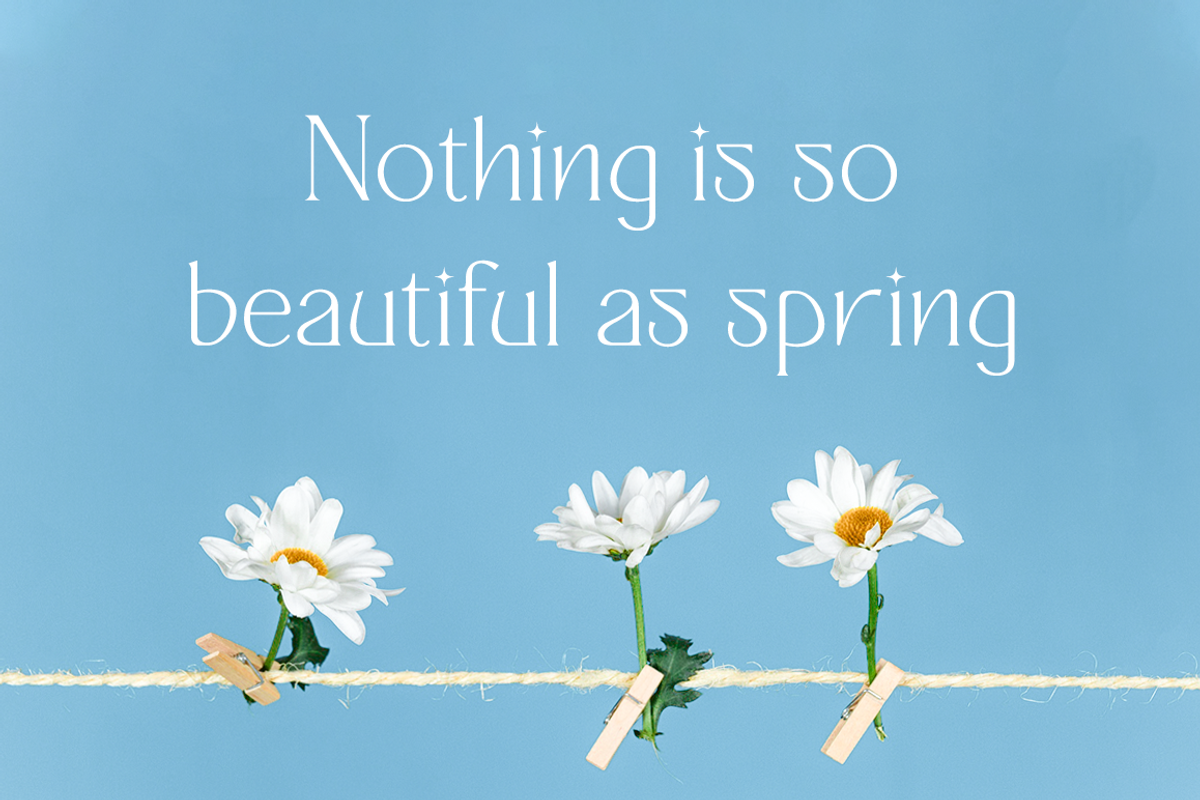 Quisking - Display Serif Font, a Font by RockboyStd (Photo 6 of 12)