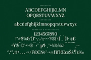 Gardmun Kinsley Modern Serif Font, a Serif Font by Letterena Studios (Thumbnail 13 of 15)