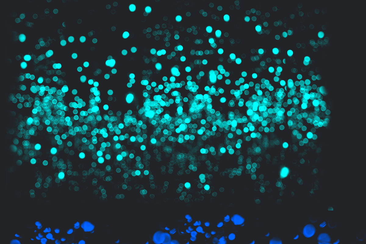 50 Bokeh Photoshop Brushes, a Brush Add-On by MixPixBox (Photo 7 of 8)
