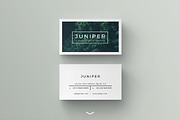 J U N I P E R  Branding Bundle!, a Packaging Mockup by 46&2 Collective (Thumbnail 10 of 21)