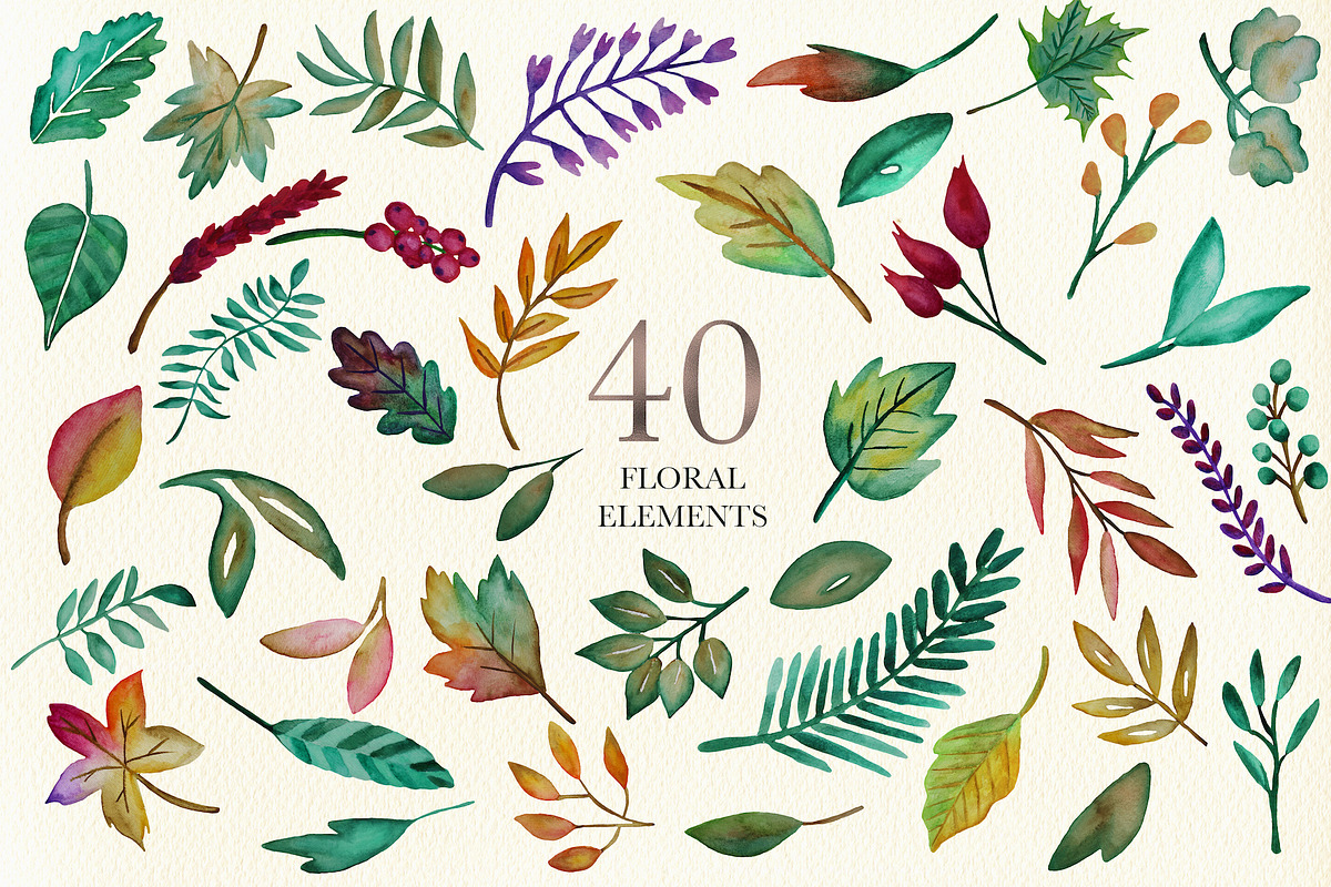 Autumn Leaves Watercolor Clipart, an Illustration by Oh Darling Graphics (Photo 2 of 9)