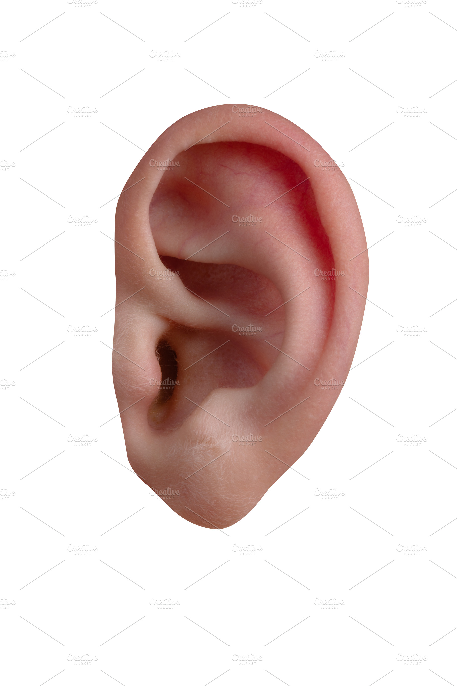 Close-up of a human ear isolated on a clean white background, pe, a Person Photo by Ales Munt
