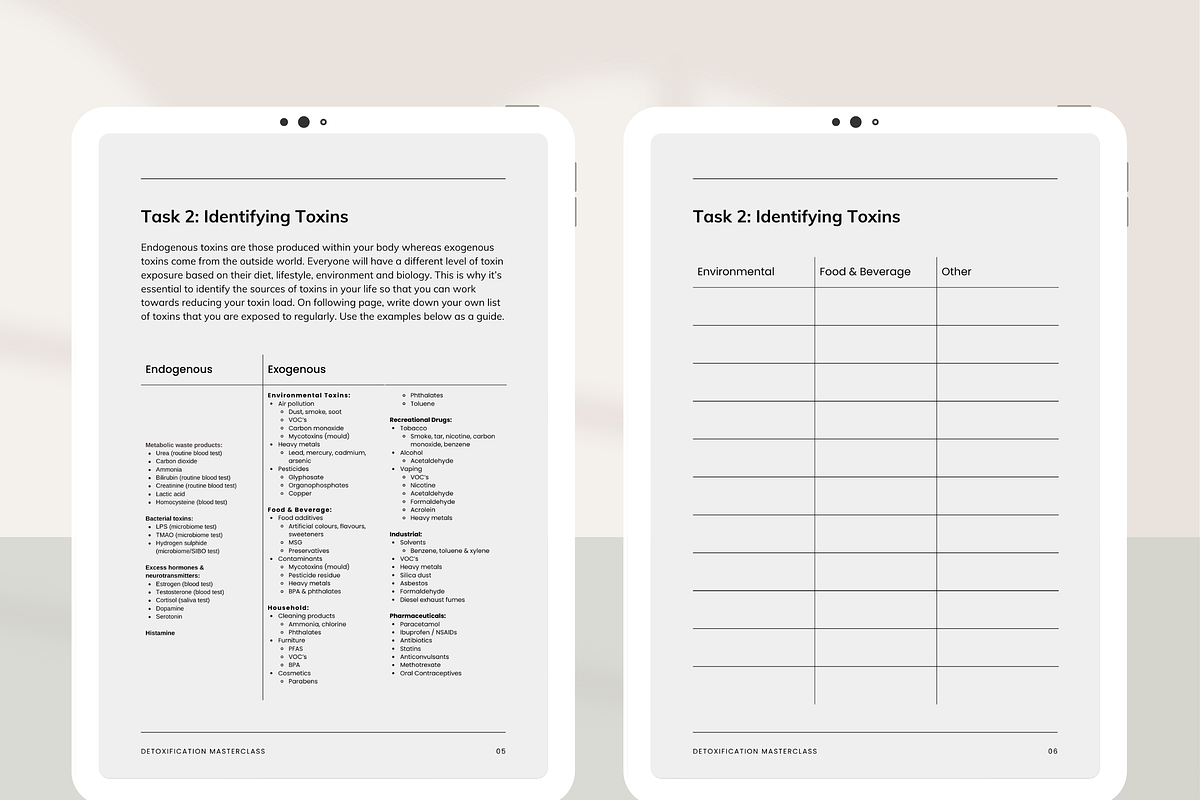 Detox Masterclass Canva - Premade, a Presentation Template by Naturopath Hub (Photo 9 of 9)