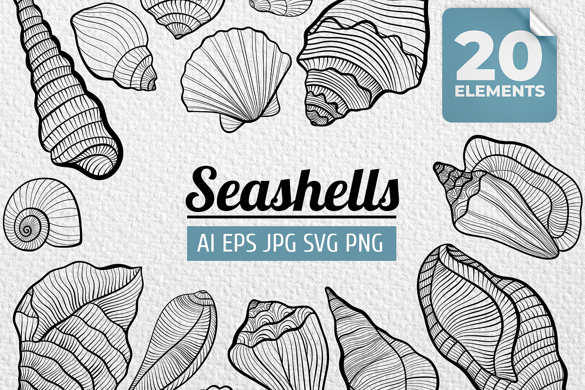 Seashell hand drawn line collection