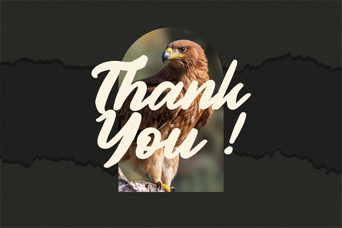 Authentic Calisttera Script Font LS, a Script Font by GranzCreative (Photo 11 of 12)