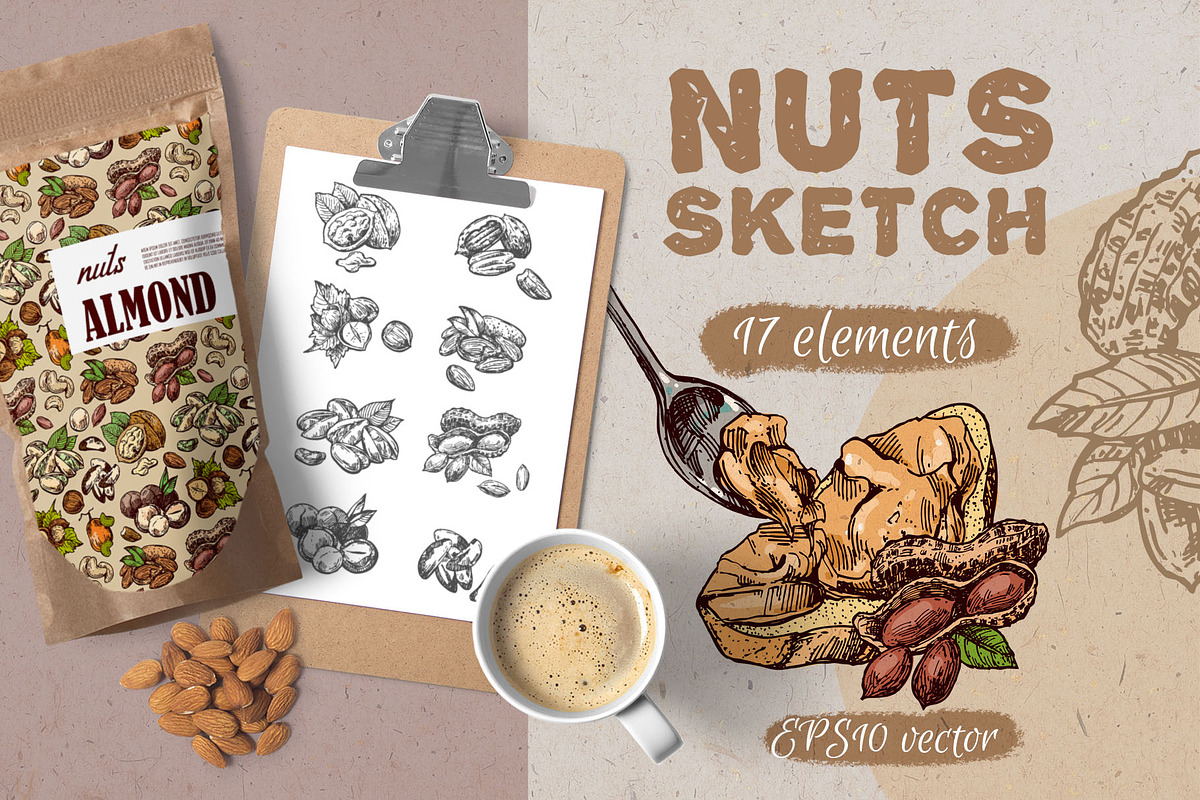 Nuts sketch, a Food Illustration by Steshnikova (Photo 1 of 5)