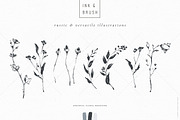 Ink botanicals, logos & patterns, a Texture Illustration by Lisa Glanz (Thumbnail 11 of 32)