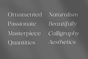Milyuna, a Serif Font by Suby Studio (Thumbnail 4 of 11)