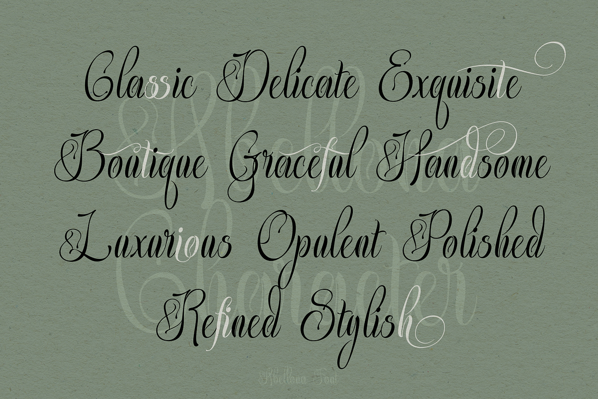 Abellona Script, a Script Font by TypeClassHeroes (Photo 6 of 11)