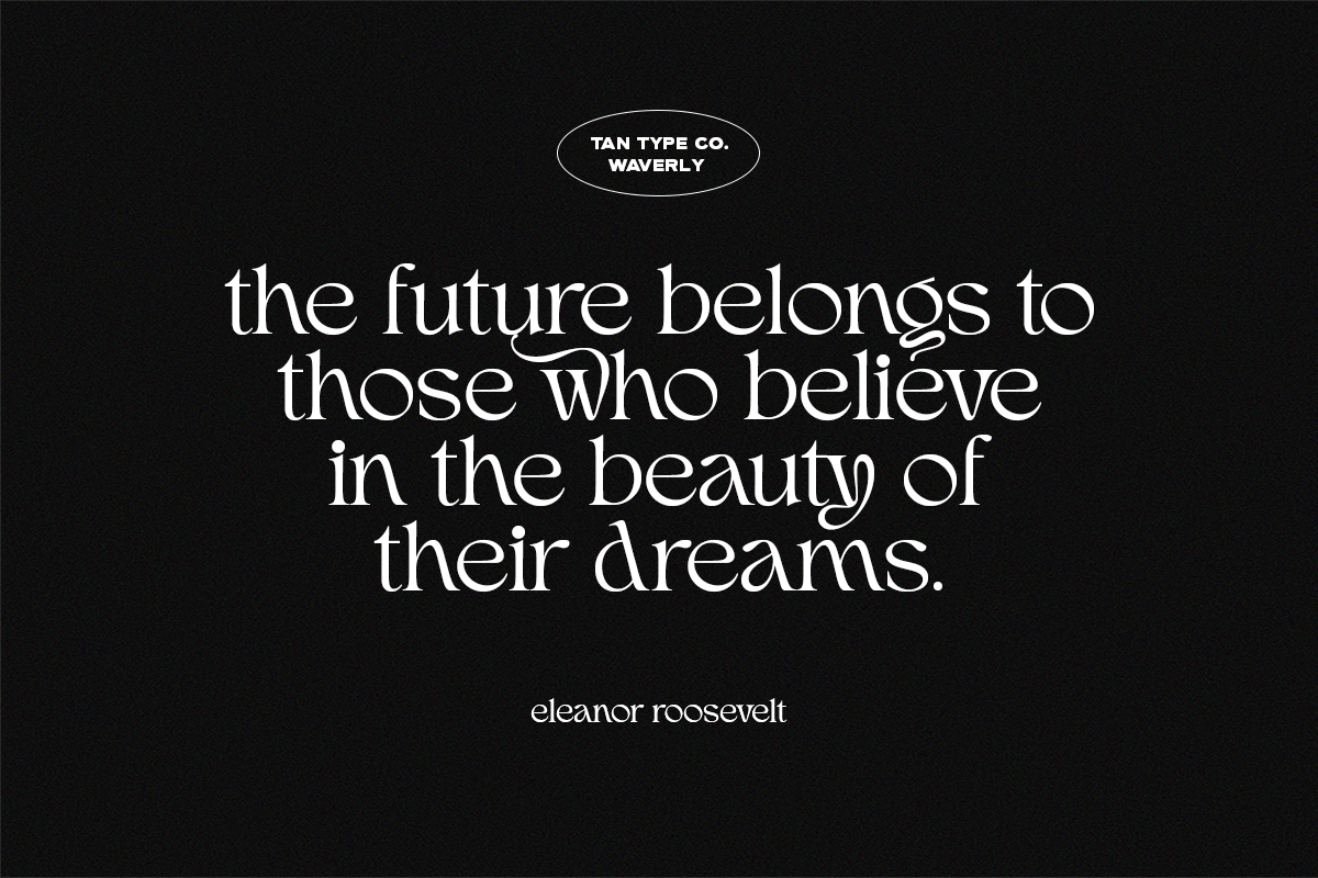 TAN - WAVERLY, a Serif Font by TanType (Photo 20 of 22)