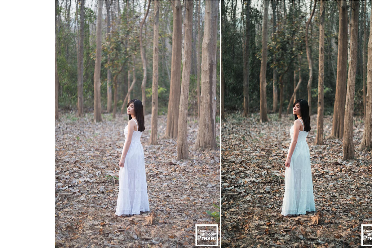 Kamin Fall Season, an Action Add-On by Kamin Lightroom Preset (Photo 6 of 17)