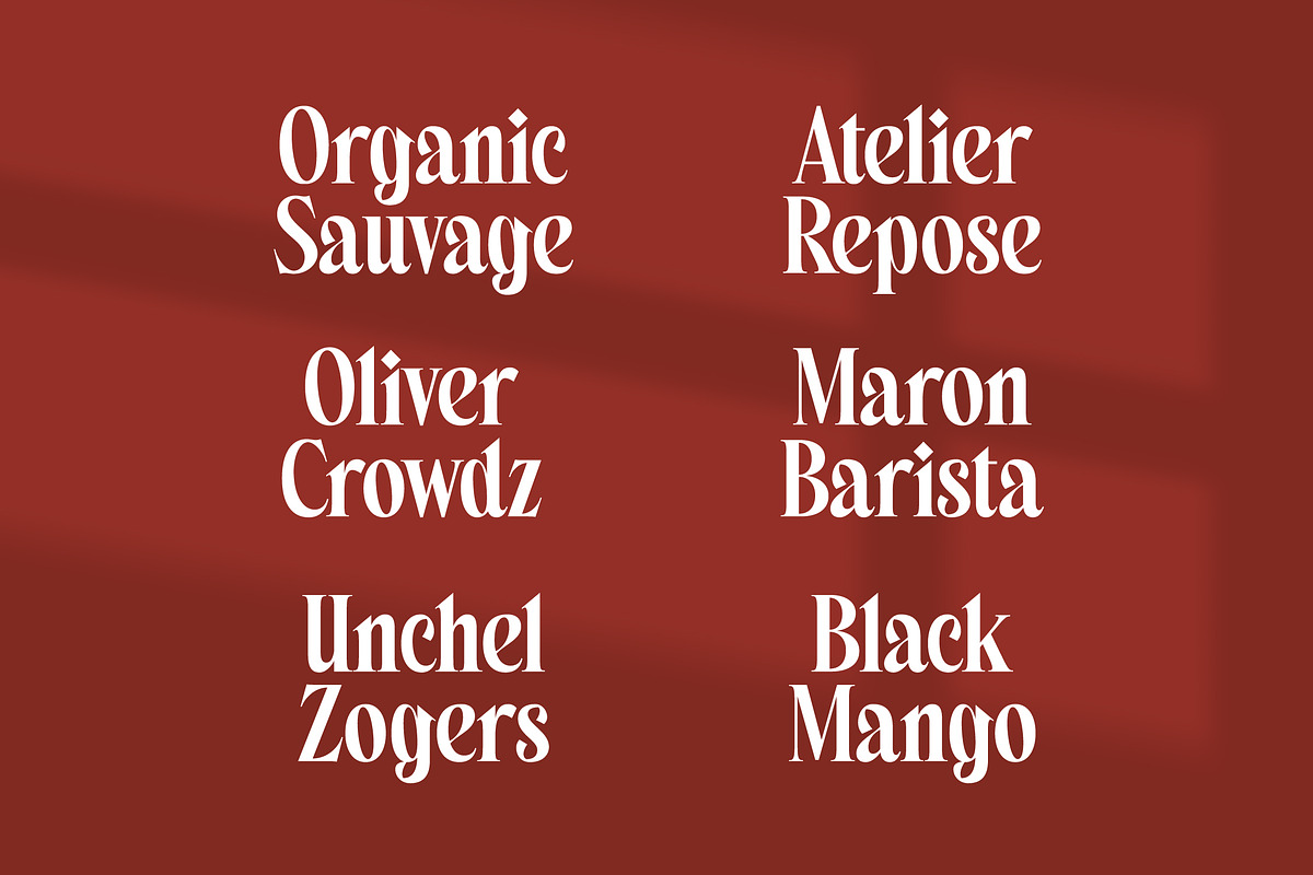 Belagu Modern Display Serif Font, a Serif Font by timelesstype.co (Photo 12 of 20)