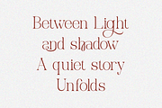 Miregle Modern Elegant Serif Font, a Serif Font by Rasio Studio (Thumbnail 7 of 11)
